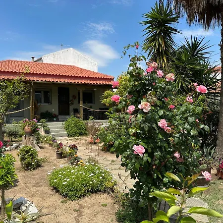 Apartment λευκό γιασεμί - νέες παγασές βόλος Kritharia (Thessalia)