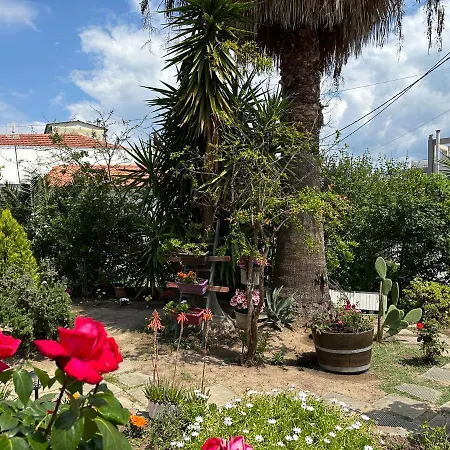 λευκό γιασεμί - νέες παγασές βόλος