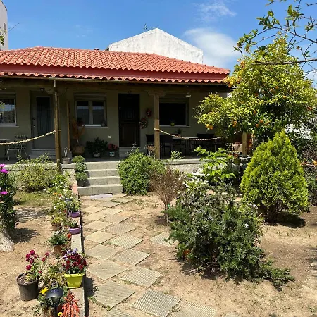 λευκό γιασεμί - νέες παγασές βόλος Apartment Kritharia (Thessalia)